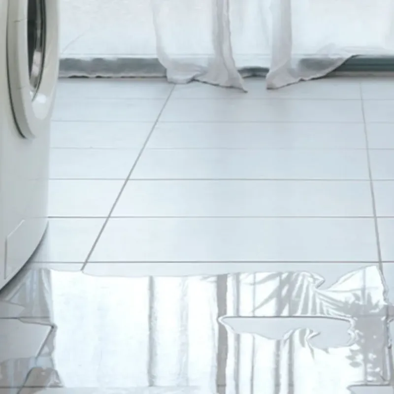 Appliance Leak Cleanup in Gibsonville, NC