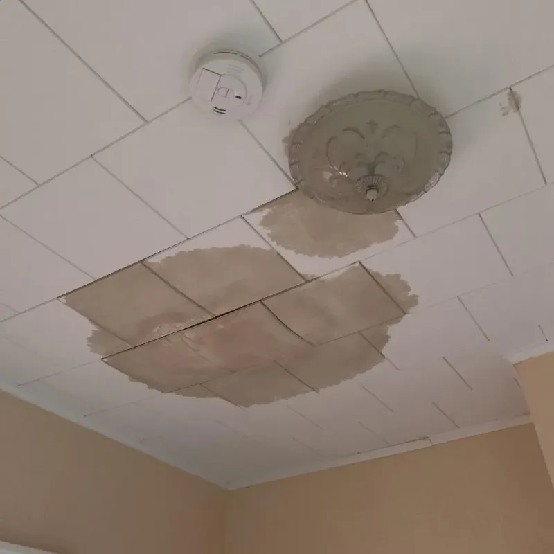 Ceiling Water Damage Repair in Gibsonville, NC