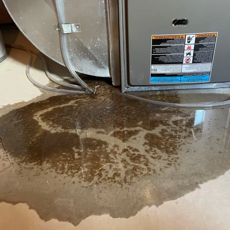 Pipe Burst and Leak Restoration in Gibsonville, NC