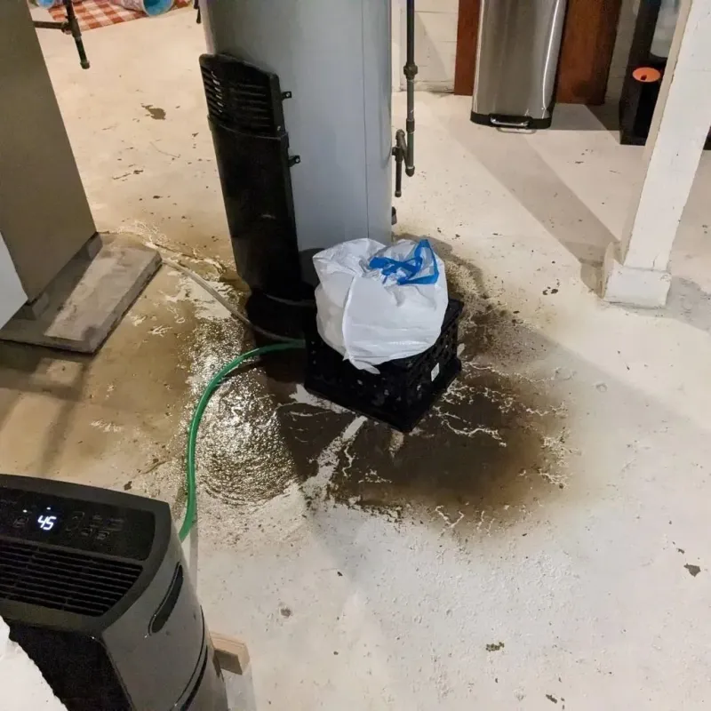 Sewage Backup Cleanup Service in Gibsonville, NC